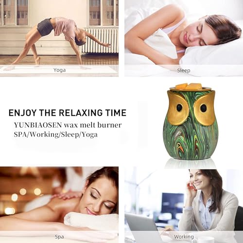 Owl Wax Melt Warmer Electric, Scented Wax Burner, Candle Warmer R888