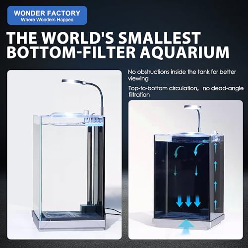 1.5 Gallon All-in-One Aquarium Starter Kit with Float Glass Tank, Filter, Light, Rocks, Gravel, Plants I1851