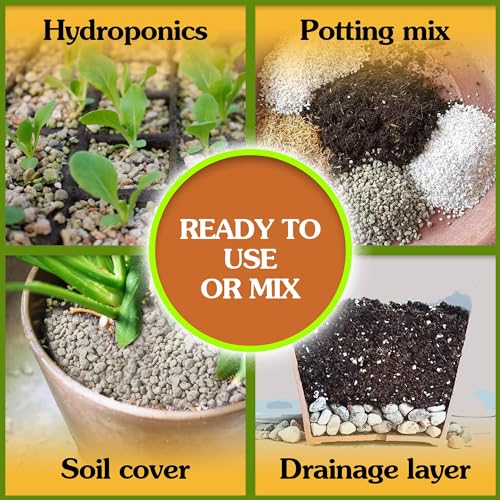 Horticultural Pumice for Plants Indoor, Soil Additive for Bonsai, Succulent, Cactus, 1/4" - 3/8", 2 QT N416