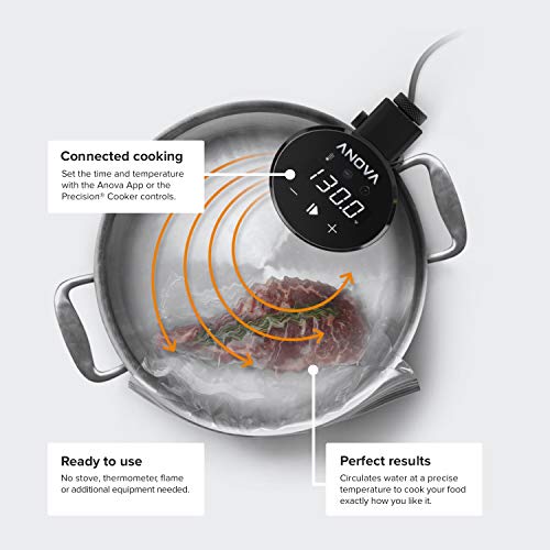 Sous Vide Precision Cooker 1000W WiFi A551