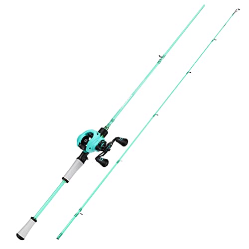 Fishing Rod and Reel Combo, Spinning and Baitcasting Pole with Graphite Blanks O8586