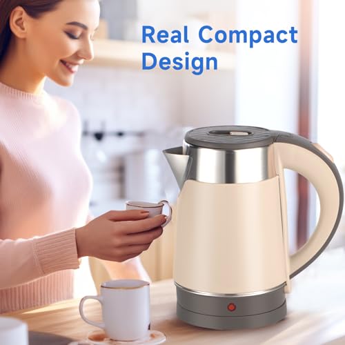 Portable Electric Tea Kettle, 0.8L, Stainless Steel N99429