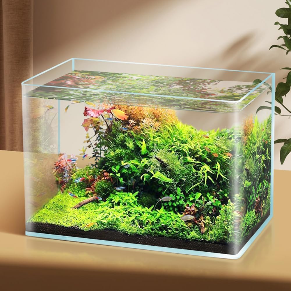 2 Pack 4 & 2 Gallon Rimless Fish Tank for Betta, Nano, Goldfish, Snail, Shrimp S812
