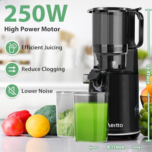 Cold Press Juicer with Extra Large Feed Chute for Whole Fruits and Vegetables E678135