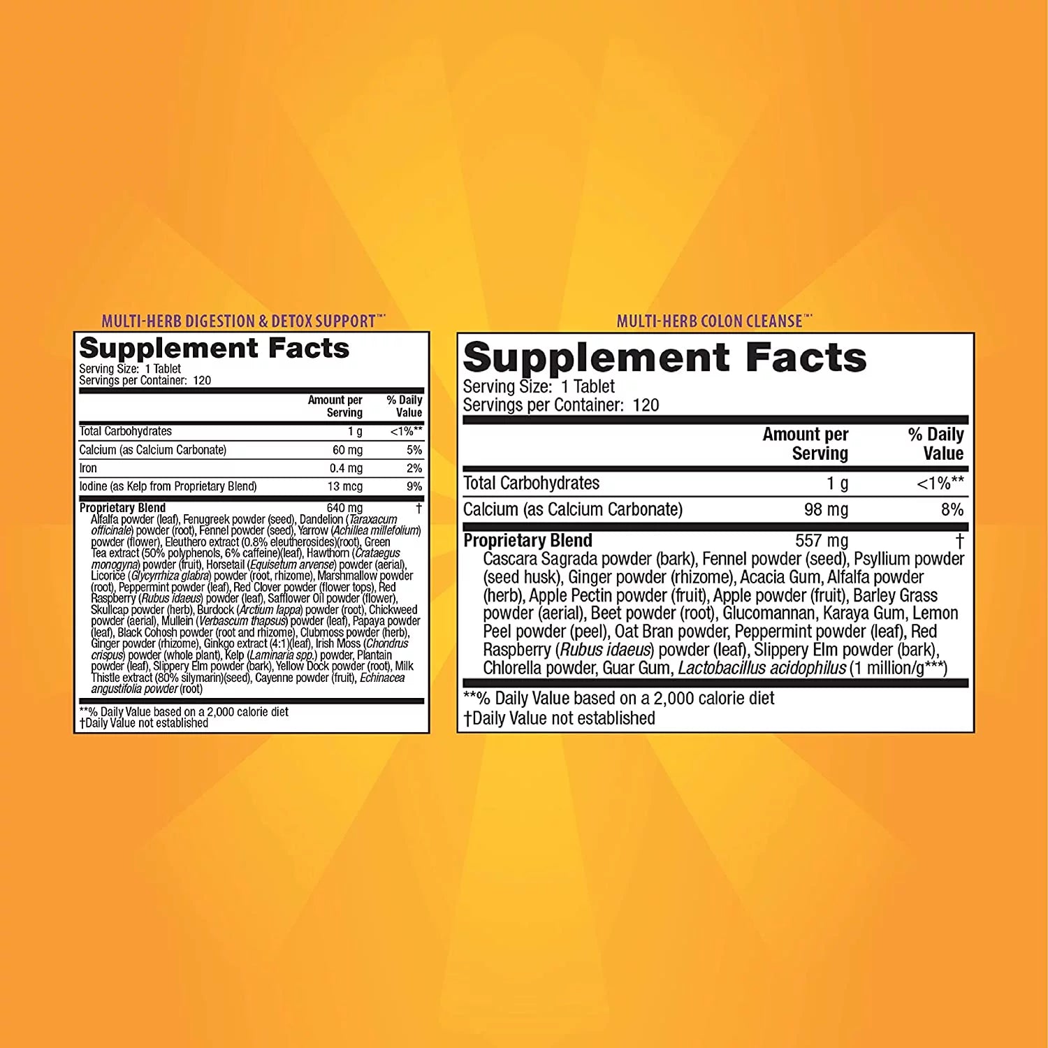 7-Day Total-Body Cleanse 240 Tablets with Pill Case P5733