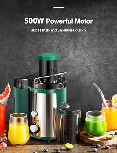 Juicer Machine, 800W Centrifugal Extractor with Wide Mouth Feed Chute, Stainless Steel, BPA-free Y425329