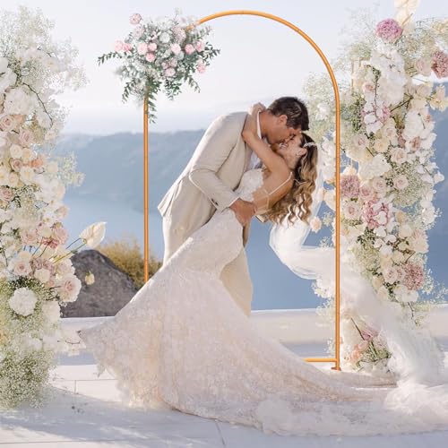 Metal Arch Backdrop Stand for Party Wedding Decoration W986