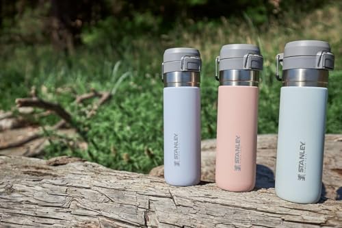 Insulated Stainless Steel Water Bottle 36 oz with Push Button Lid P799245