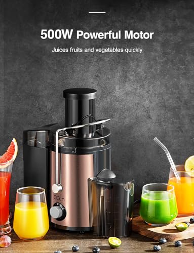 Juicer Machine, 800W Centrifugal Extractor with Wide Mouth Feed Chute, Stainless Steel, BPA-free Y425329