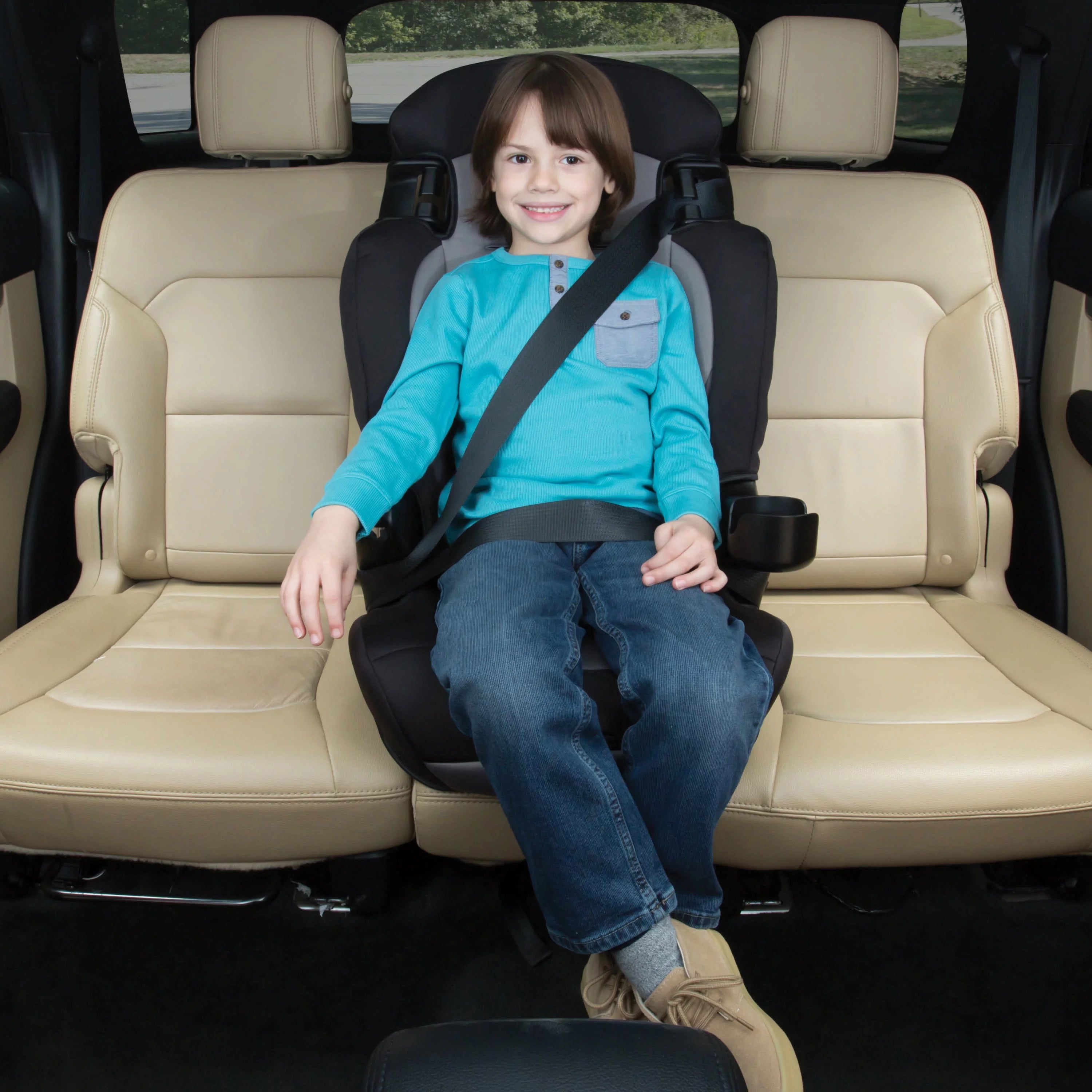 2-in-1 Booster Car Seat, Sweetberry T115866