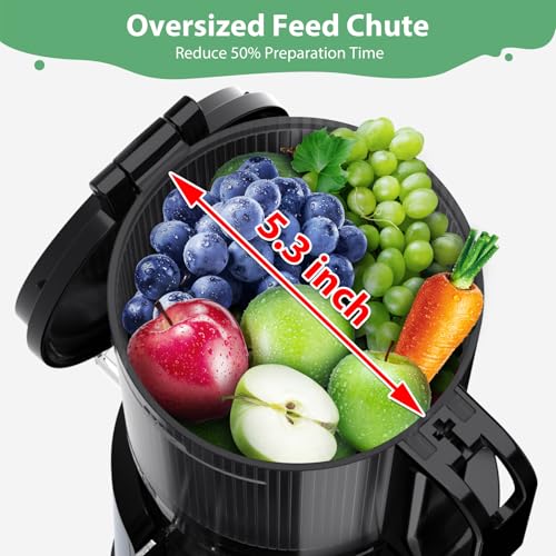 Cold Press Juicer with Extra Large Feed Chute for Whole Fruits and Vegetables E678135