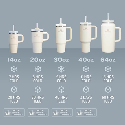 Insulated Stainless Steel Tumbler with Straw 30 oz P520
