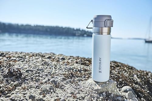 Insulated Stainless Steel Water Bottle 36 oz with Push Button Lid P799245