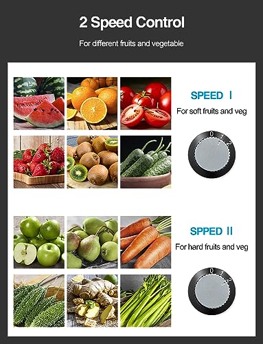 Juicer Machine, 800W Centrifugal Extractor with Wide Mouth Feed Chute, Stainless Steel, BPA-free Y425329