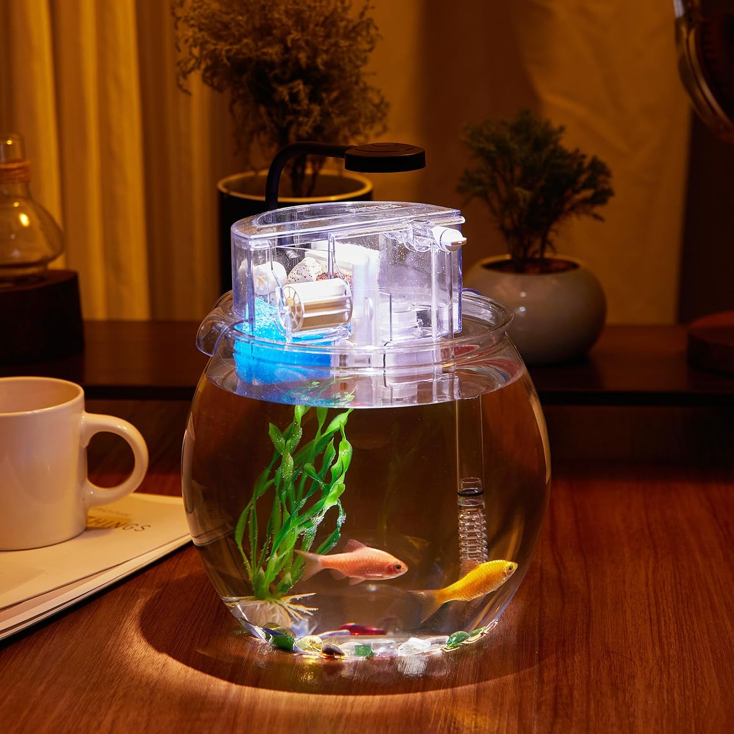1 Gallon Small Fish Tank with Filter and Light J77063