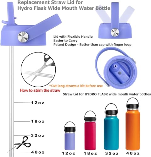Straw Lid for Wide Mouth Water Bottles, Replacement Cap with Flex Handle, 2 Pack C81207