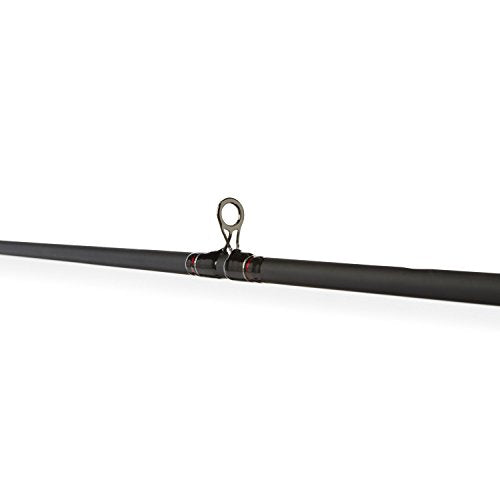 Baitcast Reel and Fishing Rod Combo A256