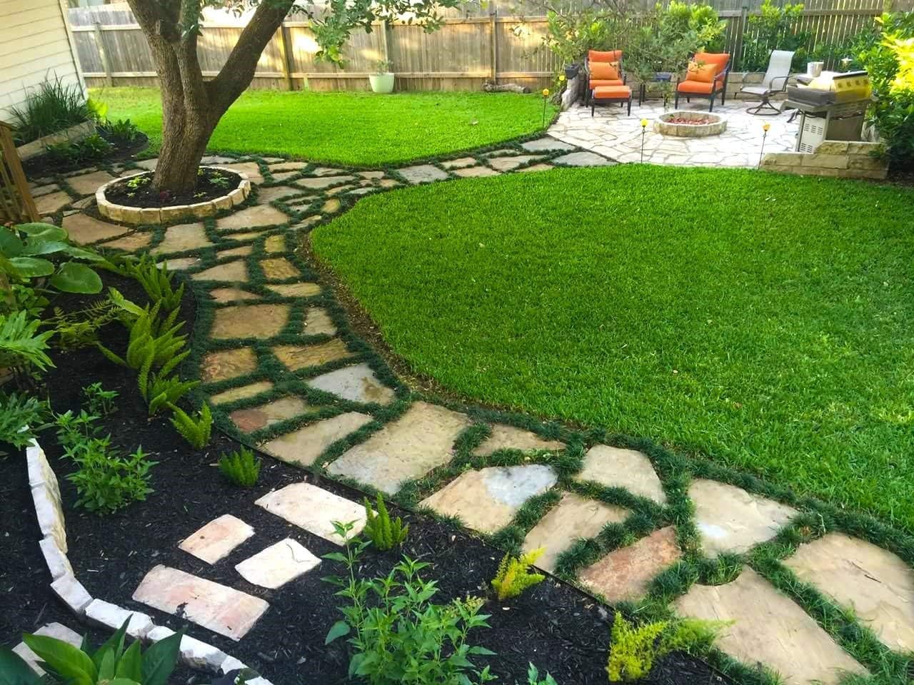 Dwarf Mondo Grass 40 Live Plants Shade Loving Evergreen Ground Cover R897143