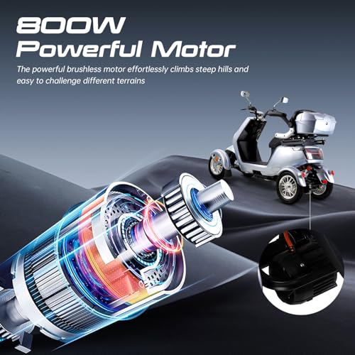 4-Wheel Heavy Duty Mobility Scooter for Seniors & Adults D6968