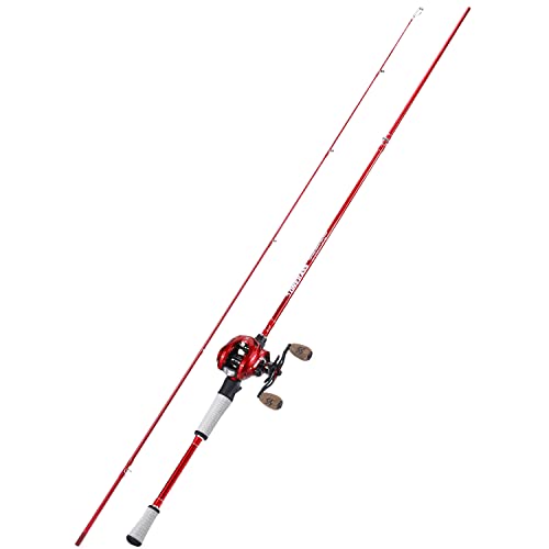 Fishing Rod and Reel Combo, Spinning and Baitcasting Pole with Graphite Blanks O8586