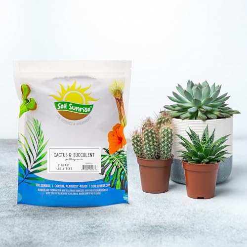 Cactus and Succulent Potting Mix, Fast Draining I9227