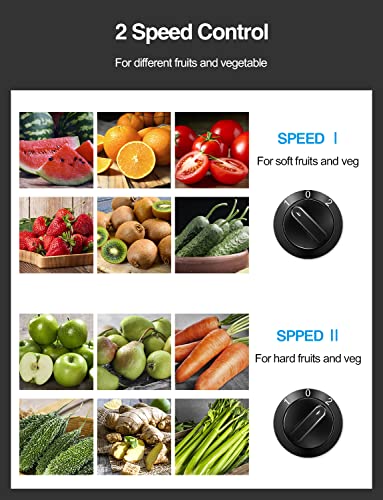 Juicer Machine, 800W Centrifugal Extractor with Wide Mouth Feed Chute, Stainless Steel, BPA-free Y425329