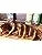 6 Pack Pourable Marinade Bundle - Chicken, Steakhouse, Pork, Burger, Wildgame, Seafood D99277