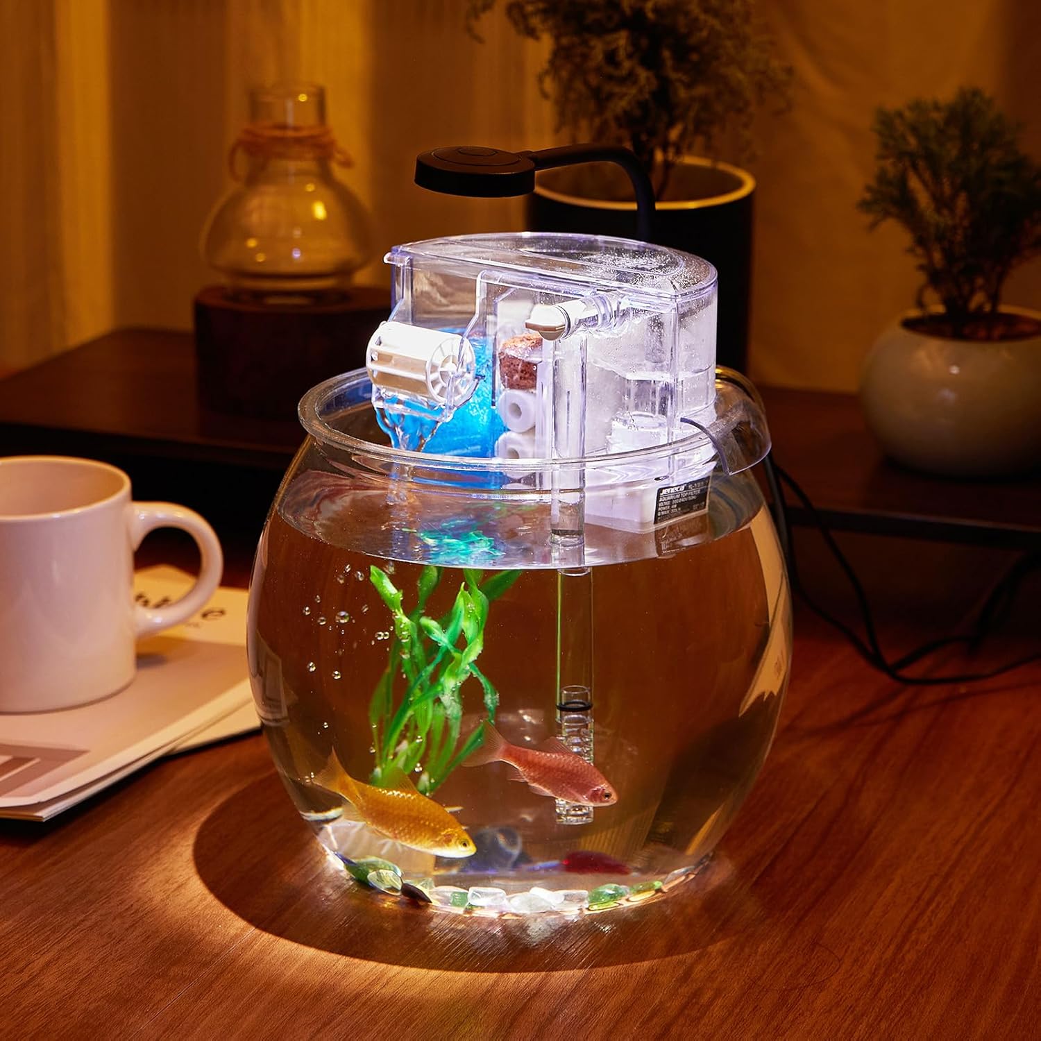 1 Gallon Small Fish Tank with Filter and Light J77063