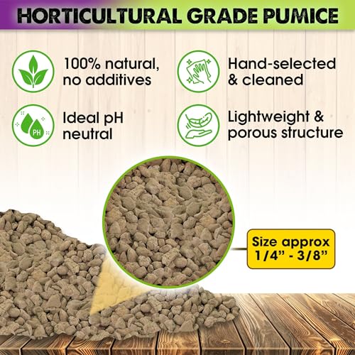 Horticultural Pumice for Plants Indoor, Soil Additive for Bonsai, Succulent, Cactus, 1/4" - 3/8", 2 QT N416
