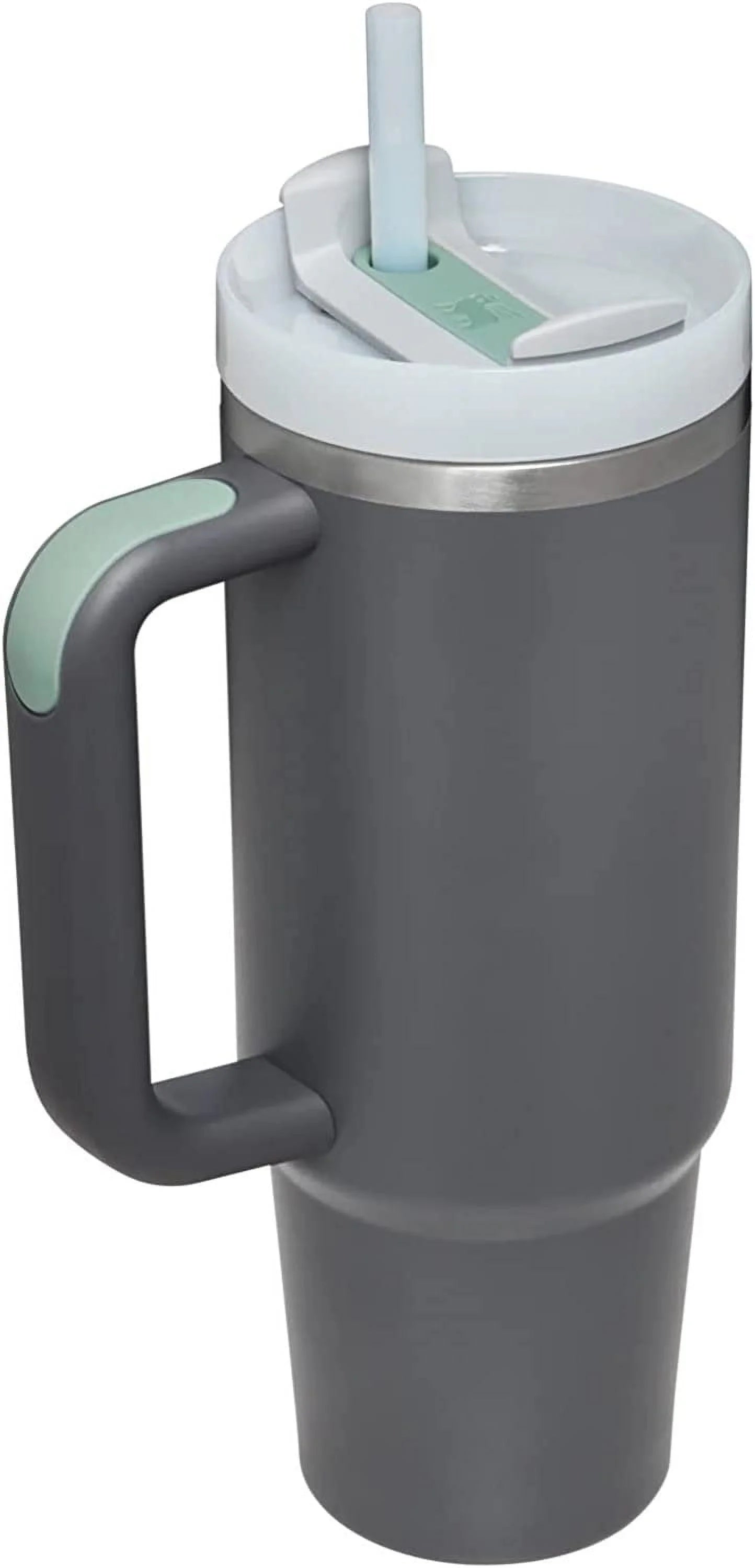 30 oz Insulated Tumbler with Straw, Charcoal F26889