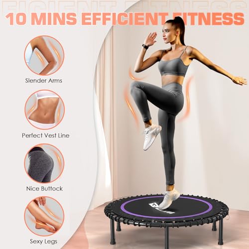 Foldable Mini Trampoline for Adults, 40/48 Inch Indoor Exercise Rebounder N9596