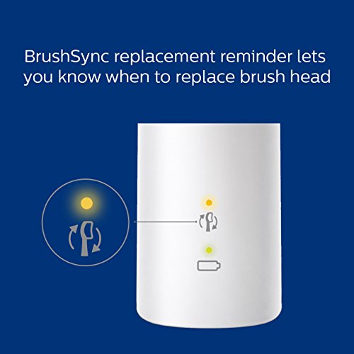 Rechargeable Electric Power Toothbrush H99423