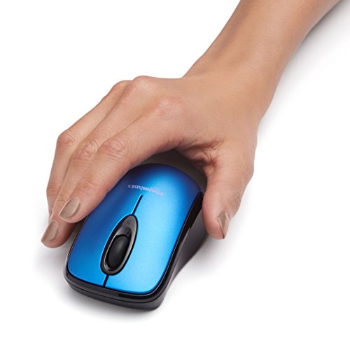 Wireless Optical Computer Mouse with USB Nano Receiver, Black P88471
