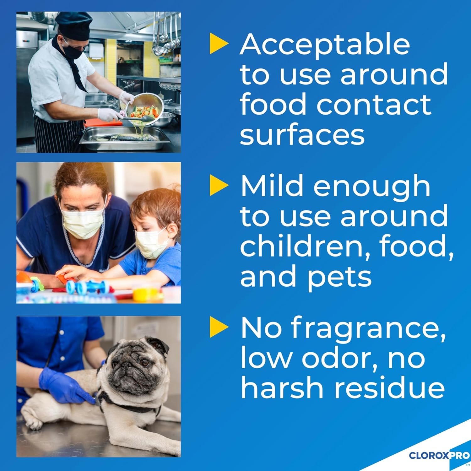 Daily Disinfectant and Sanitizer Spray, No-Rinse Food Contact Sanitizer, 32 Fl Oz E668