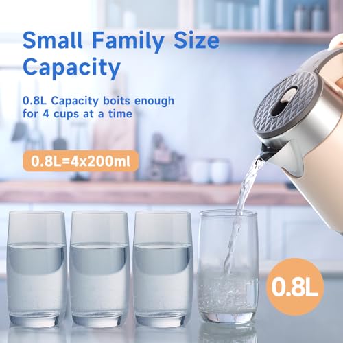 Portable Electric Tea Kettle, 0.8L, Stainless Steel N99429