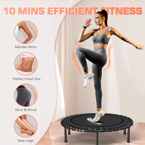 Foldable Mini Trampoline for Adults, 40/48 Inch Indoor Exercise Rebounder N9596
