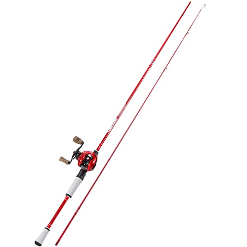 Fishing Rod and Reel Combo, Spinning and Baitcasting Pole with Graphite Blanks O8586