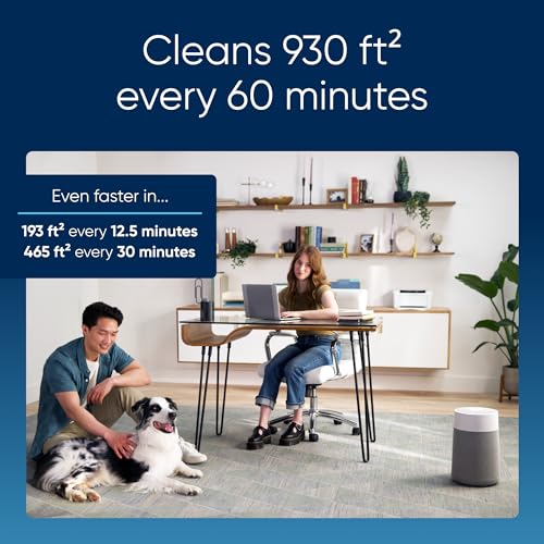 Air Purifier for Small Room, Bedroom, Home, Cleans 926 sqft in One Hour, HEPASilent for Pets, Allergens, Dust, Mold, Smoke Q80338