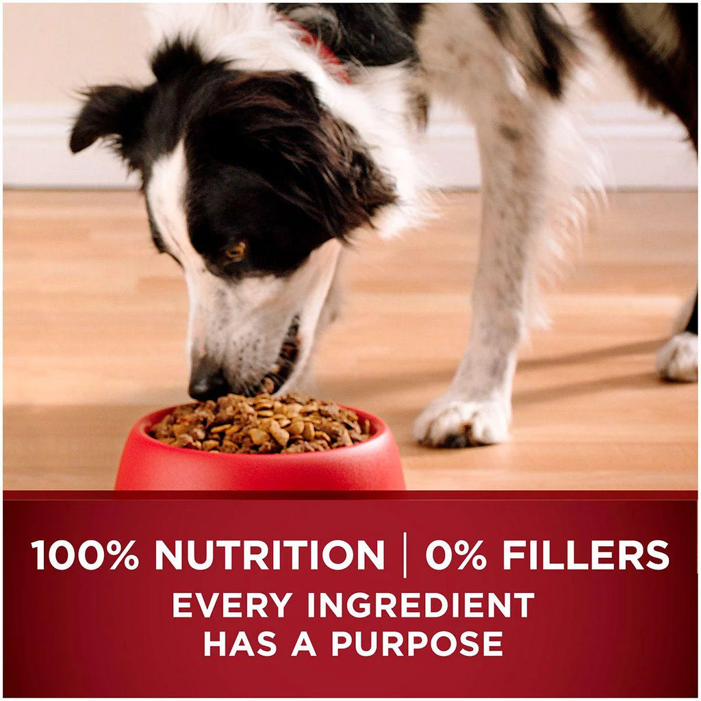 Adult Dry Dog Food Turkey and Venison Recipe F8470