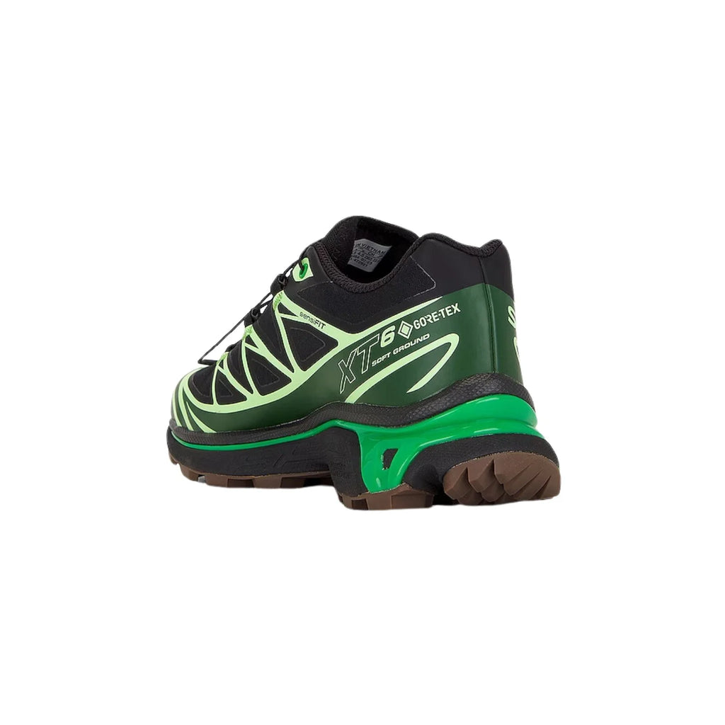 Advanced XT-6 Gore-Tex Hiking Shoes C2437