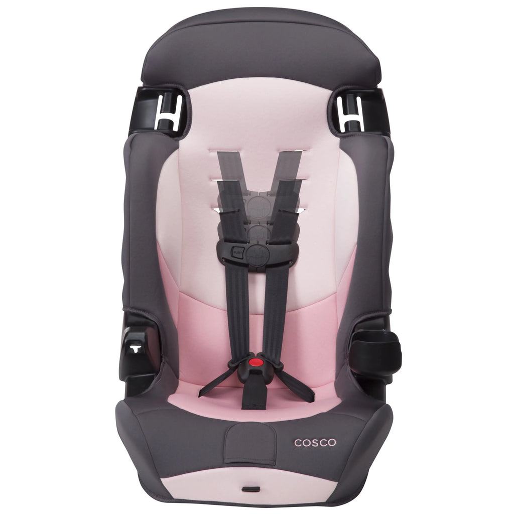 2-in-1 Booster Car Seat, Sweetberry T115866