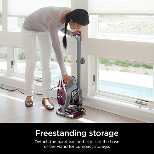 Corded Stick Vacuum with LED Headlights, XL Dust Cup, Lightweight, Converts to Hand Vacuum L83391