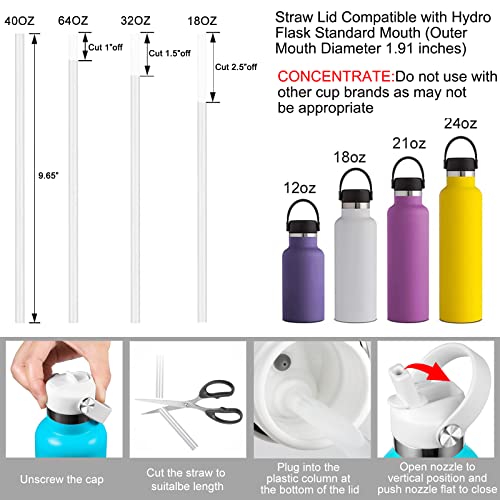 Straw Lid Compatible with Standard Mouth Water Bottle, Replacement Top with Flexible Handle D60172