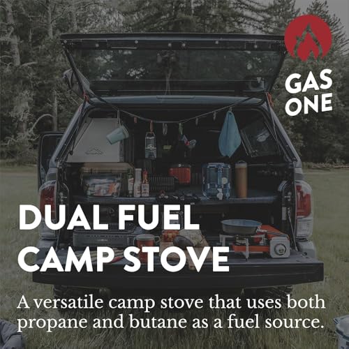 Portable Dual Fuel Camping Stove with Carrying Case C19821
