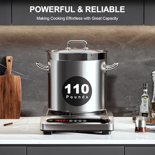 Induction Cooktop, 1800W Portable Burner with Timer Y4884