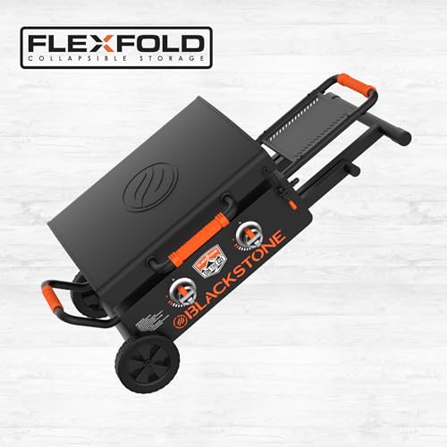 22" Scissor-Leg Gas Griddle with Two Burners, Stainless Steel, Wheels and Side Shelf W2452