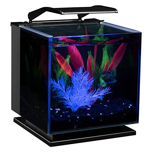Betta Shadowbox Aquarium Kit L72938