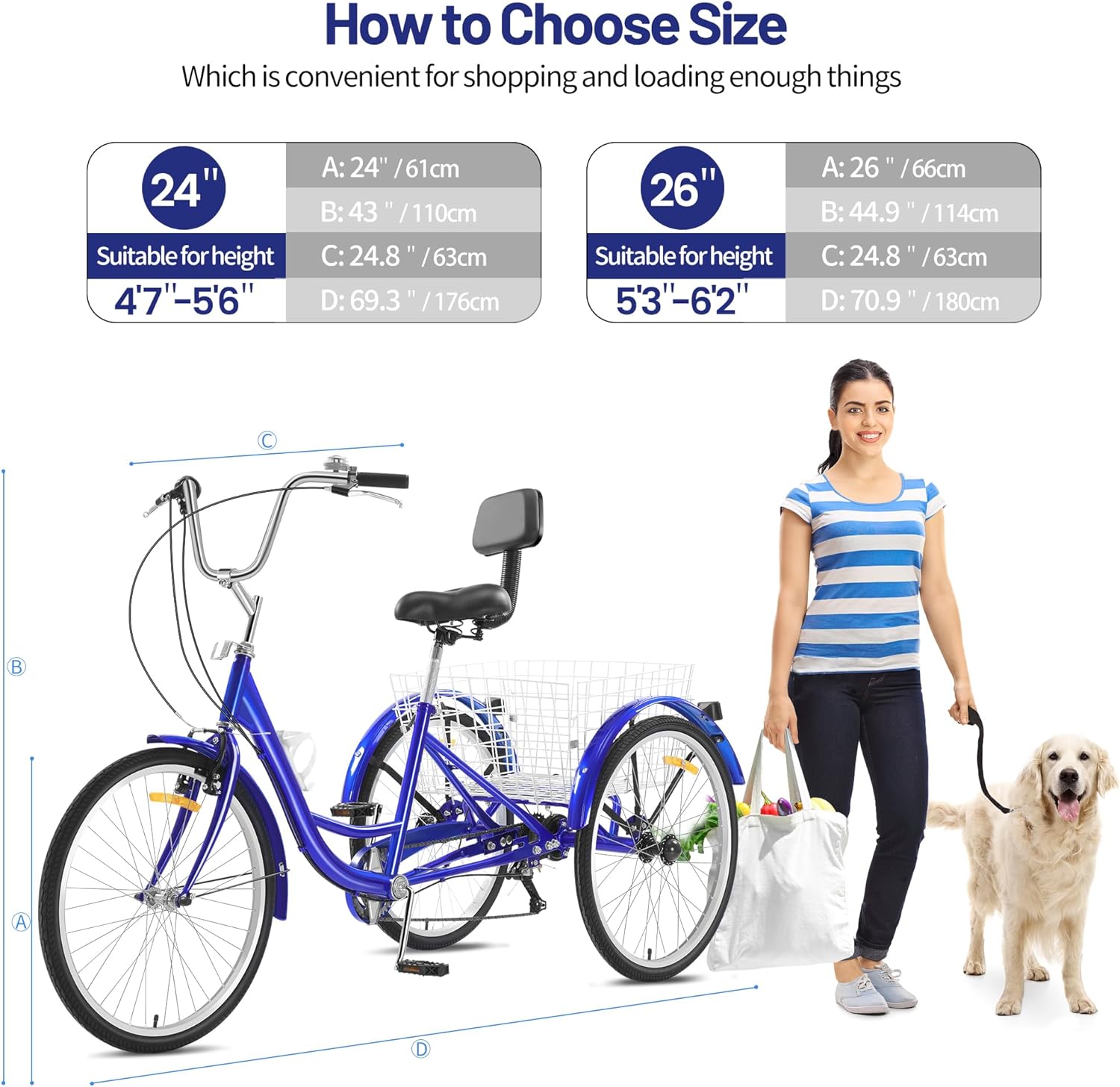 Adult Tricycle 3 Wheel with Rear Basket, 24 Inch Wheels J8820