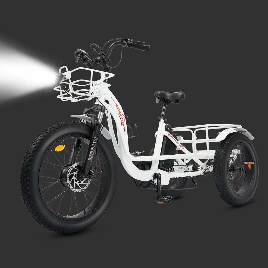 Electric Tricycle for Adults with Basket, 750W 48V, 3-Wheel Step-Thru H8104
