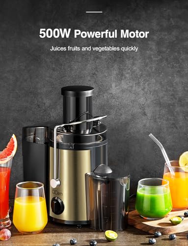Juicer Machine, 800W Centrifugal Extractor with Wide Mouth Feed Chute, Stainless Steel, BPA-free Y425329